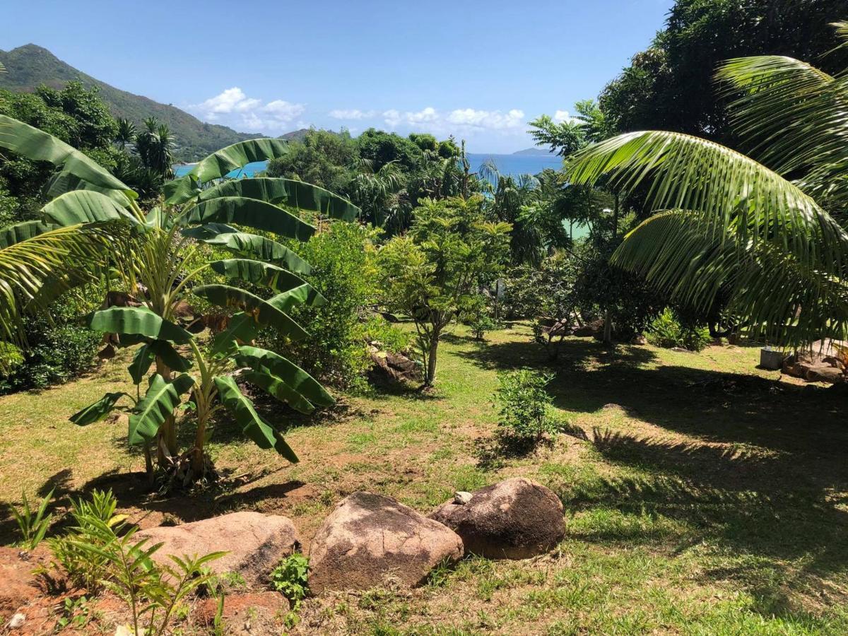 Mirella Villa Anse Volbert Village Exteriér fotografie